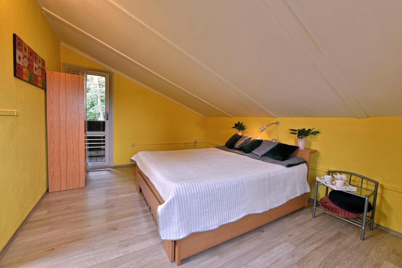 Apartmany Orlik Klucenice Buitenkant foto